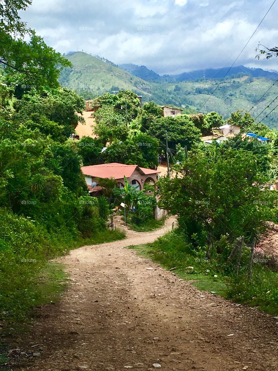 Mountain Pathway