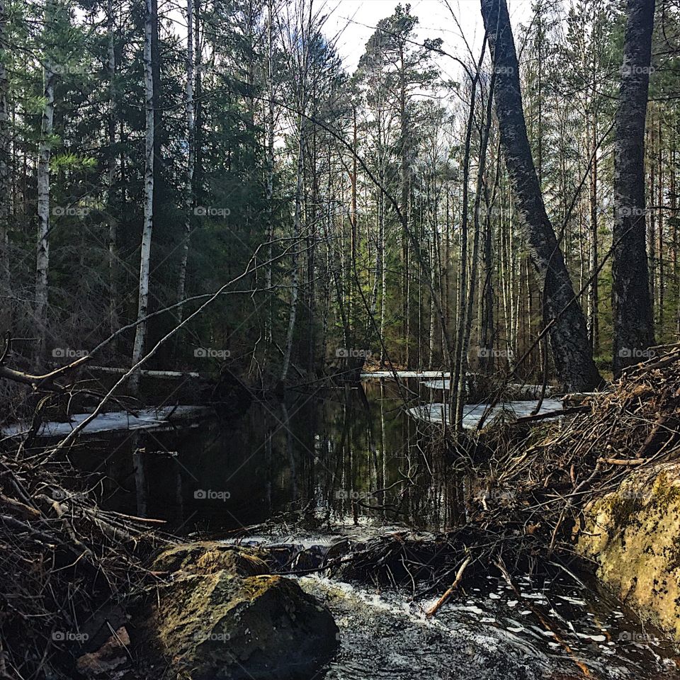 Out early this morning for a run 