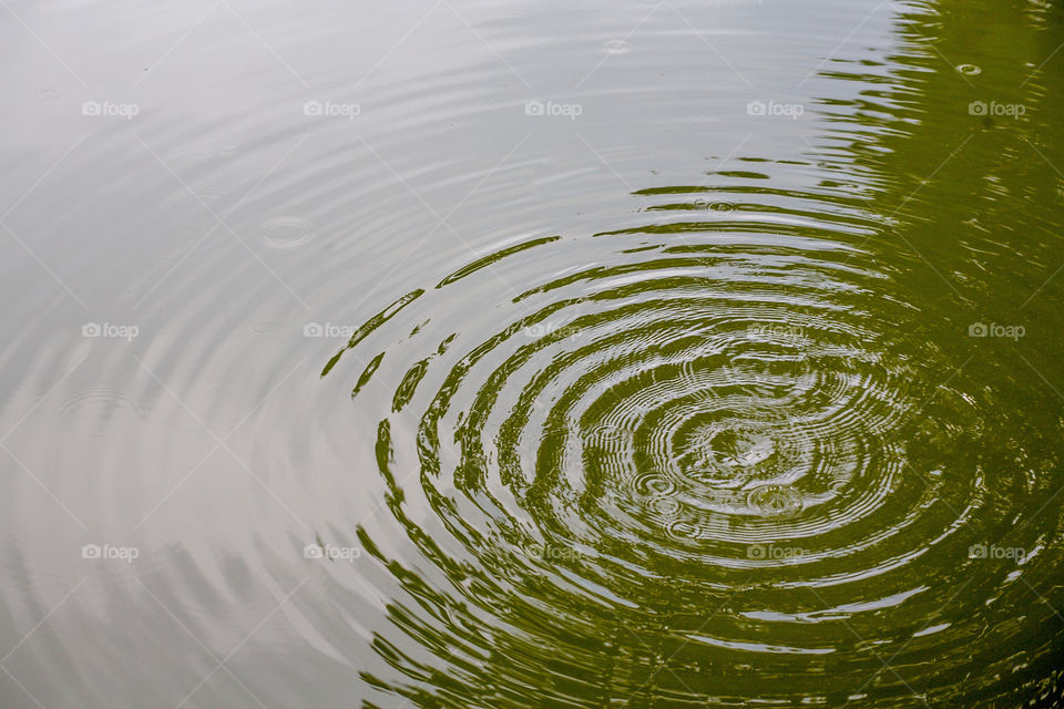 ripples on a lake