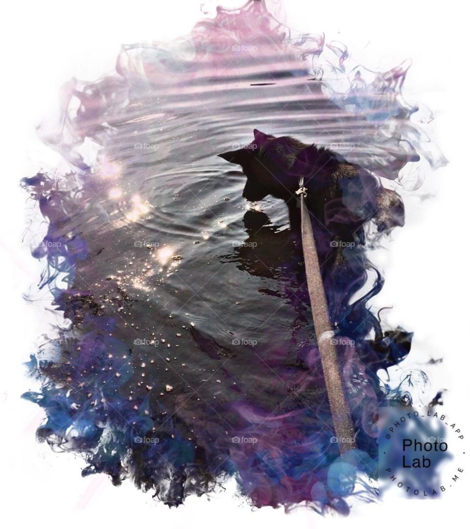 Dog whisper in the river and dancing sunrays