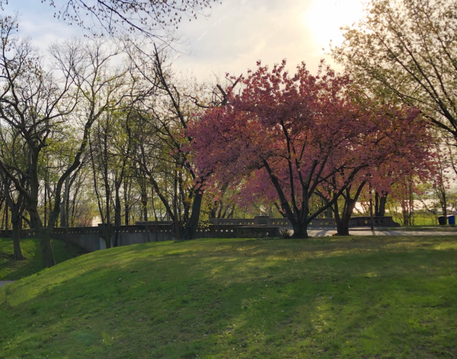 Park spring 