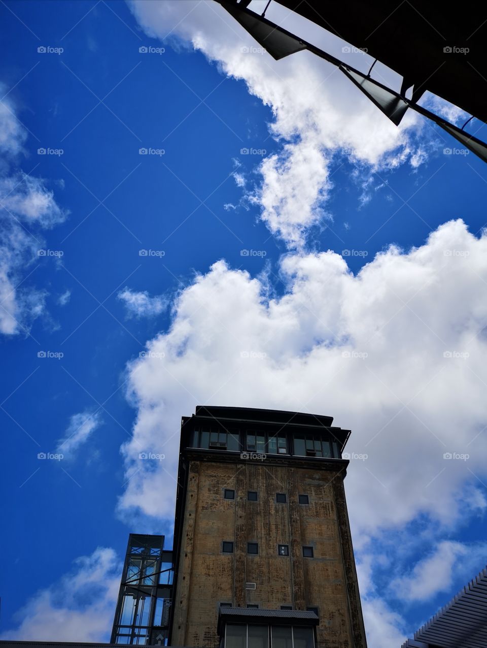 Looking up to concrete trees