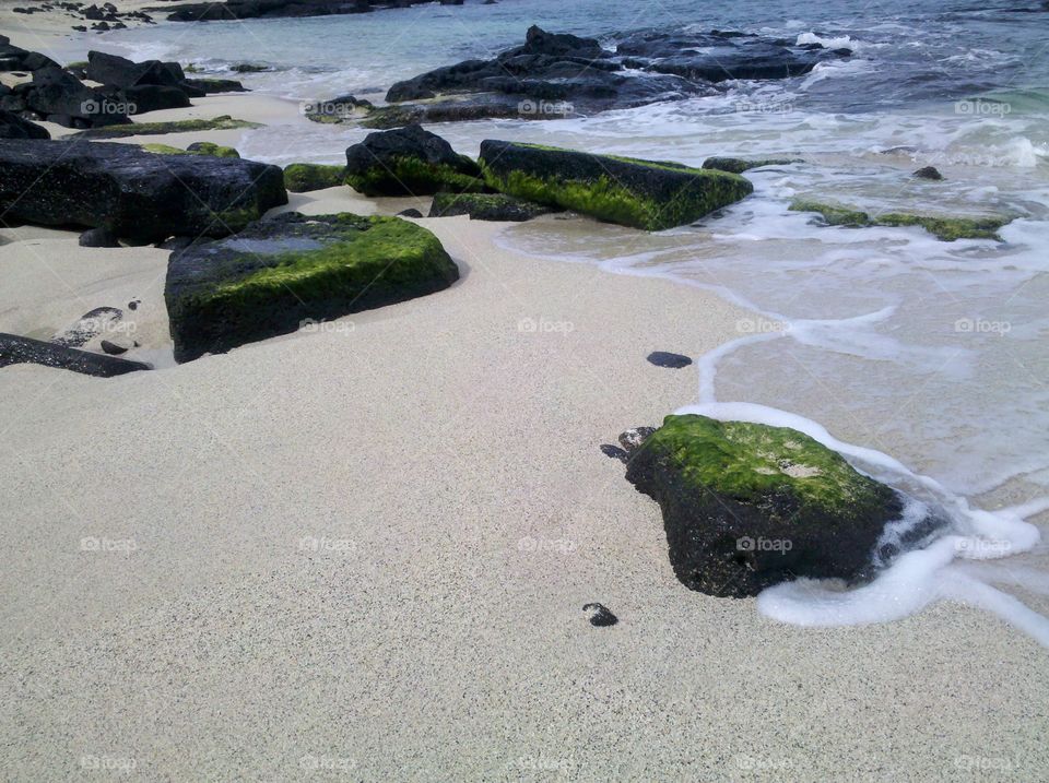 lava rocks on the beach