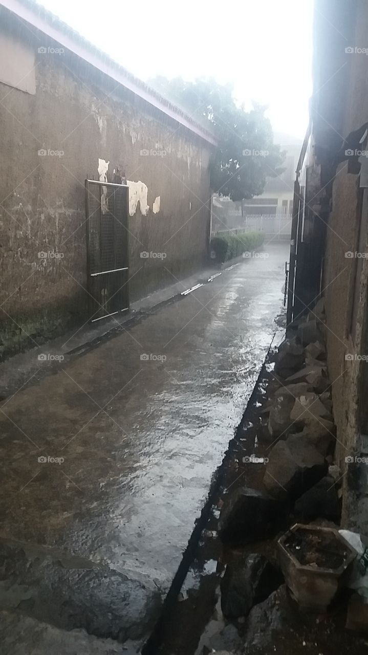 when the rain arrives in the dry season