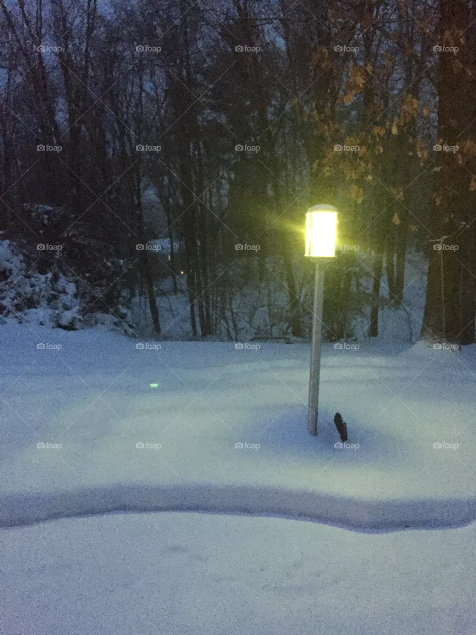 Snowy lamp