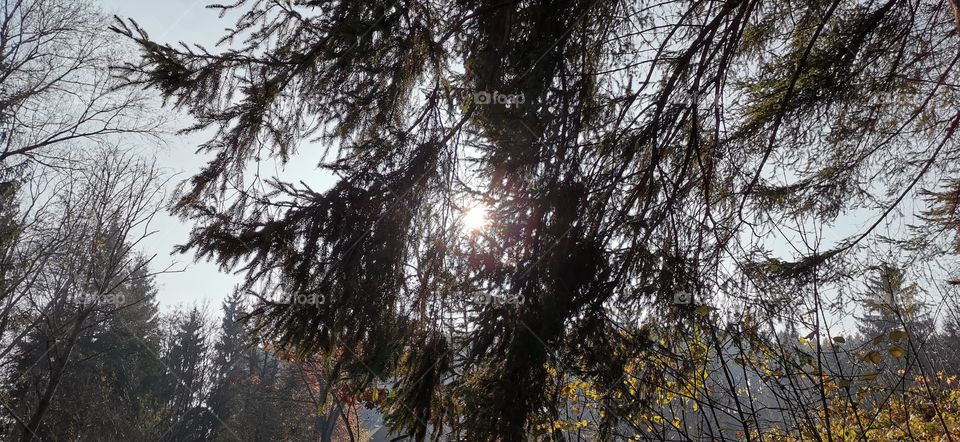 Herbst in Österreich