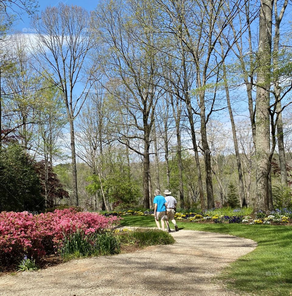 Flowers are blooming and everyone would be able to feel this amazing smell in the air and enjoy the beauty of their bloom! Spring a common favorite season because of the warmth and life associated with the season. I like spring.