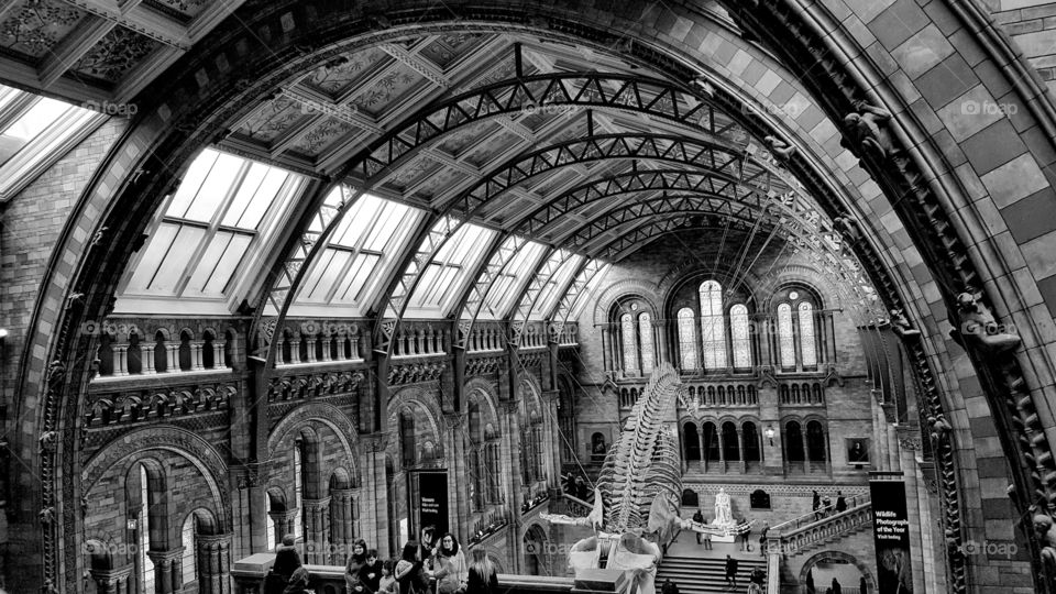 London natural history museum