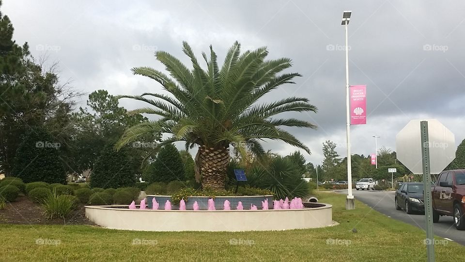 Breast Cancer Awareness. Fountain at hospital