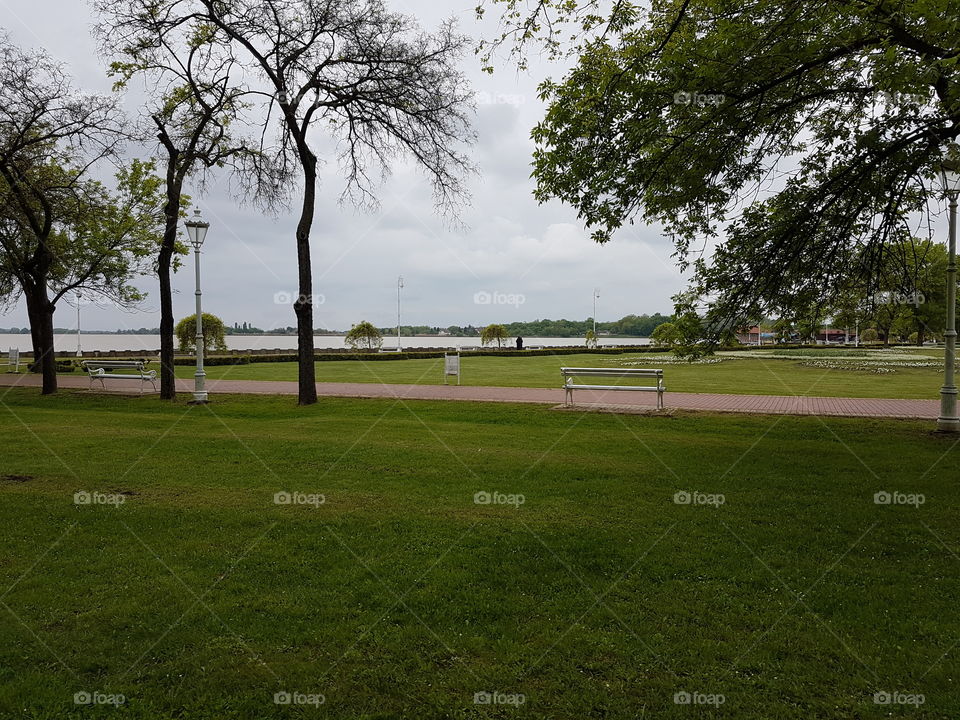 nature landscape besides lake