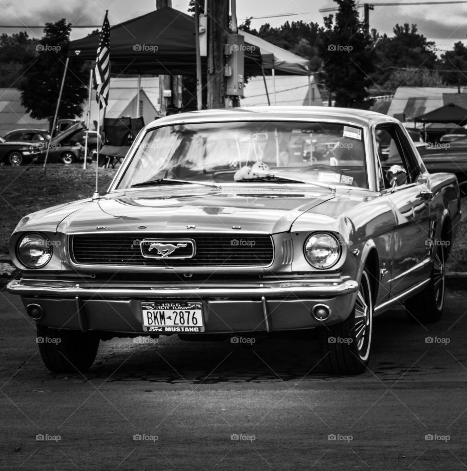 Classic Stang