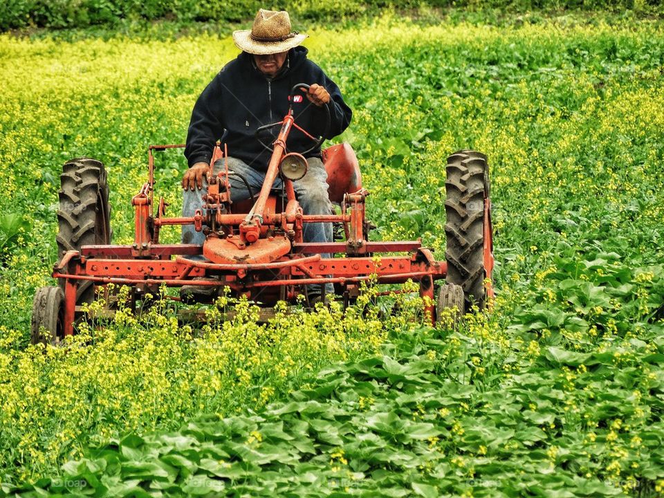 Farmer on a Tractor