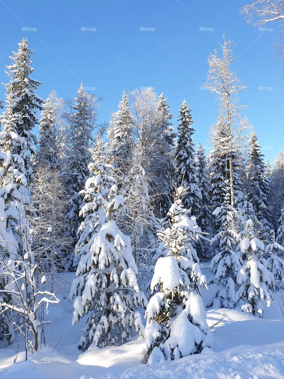 winter