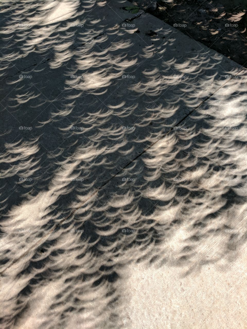 Solar Eclipse shadows