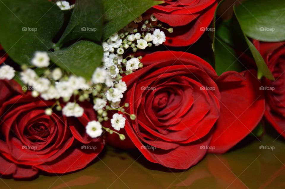 Red roses with white and green follage lying on table