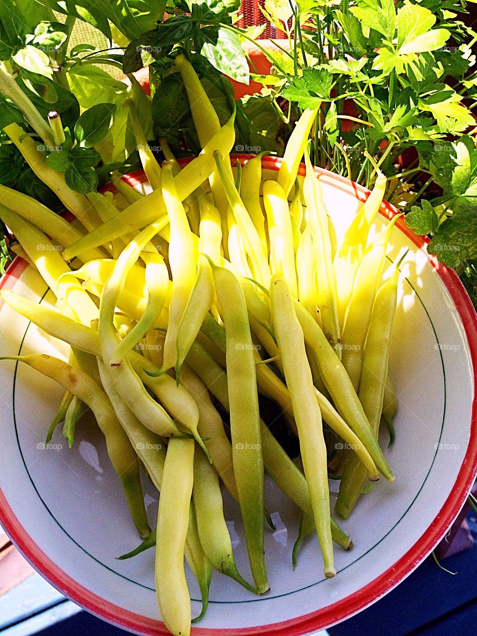 yellow beans 
