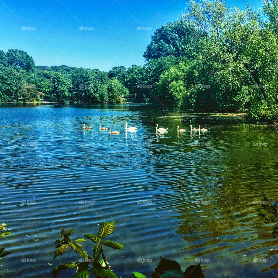 Water, No Person, Nature, Lake, Reflection