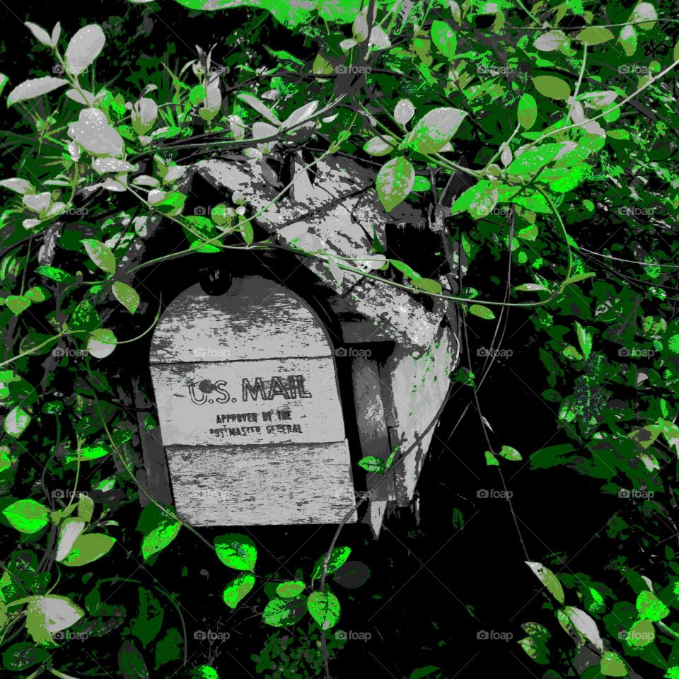 Overgrown mailbox