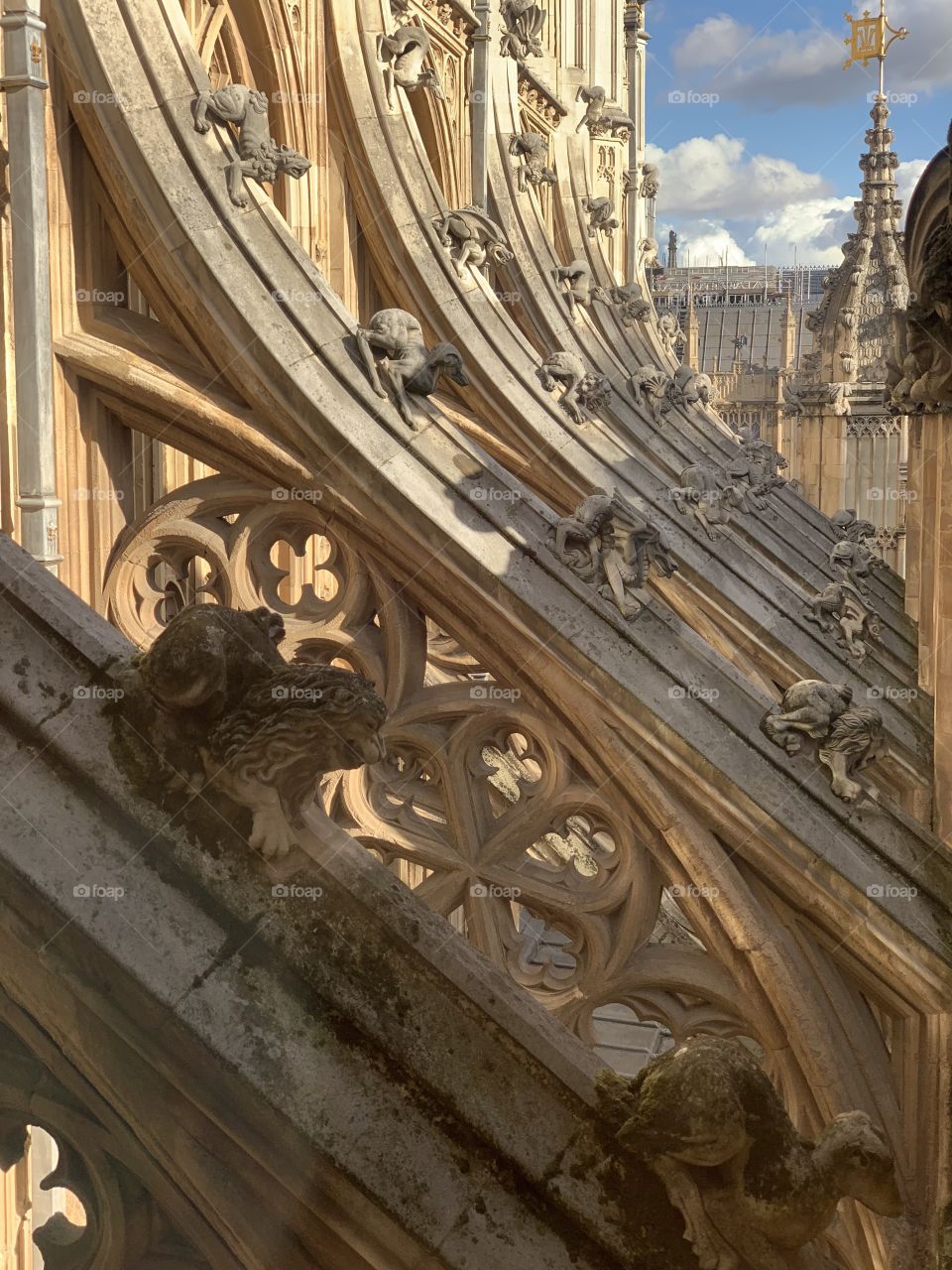 Architectural Gothic Details 