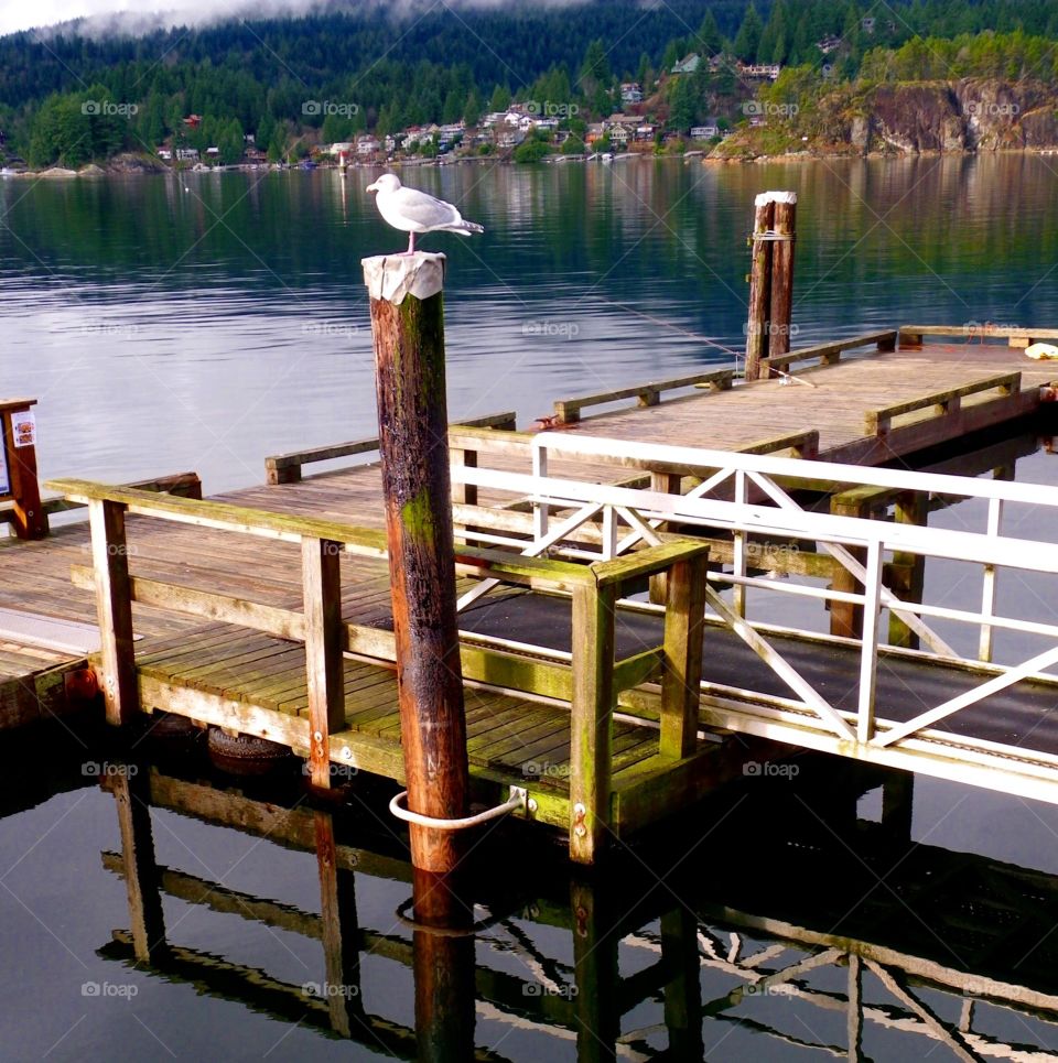 Belcarra Bay Dock. Belcarra Bay dock, BC, Canada