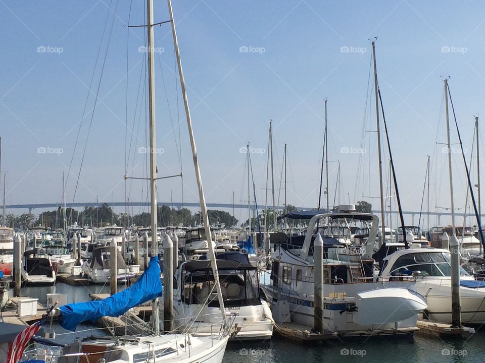San Diego Marina. Yachts Against Pacific Blue Sky