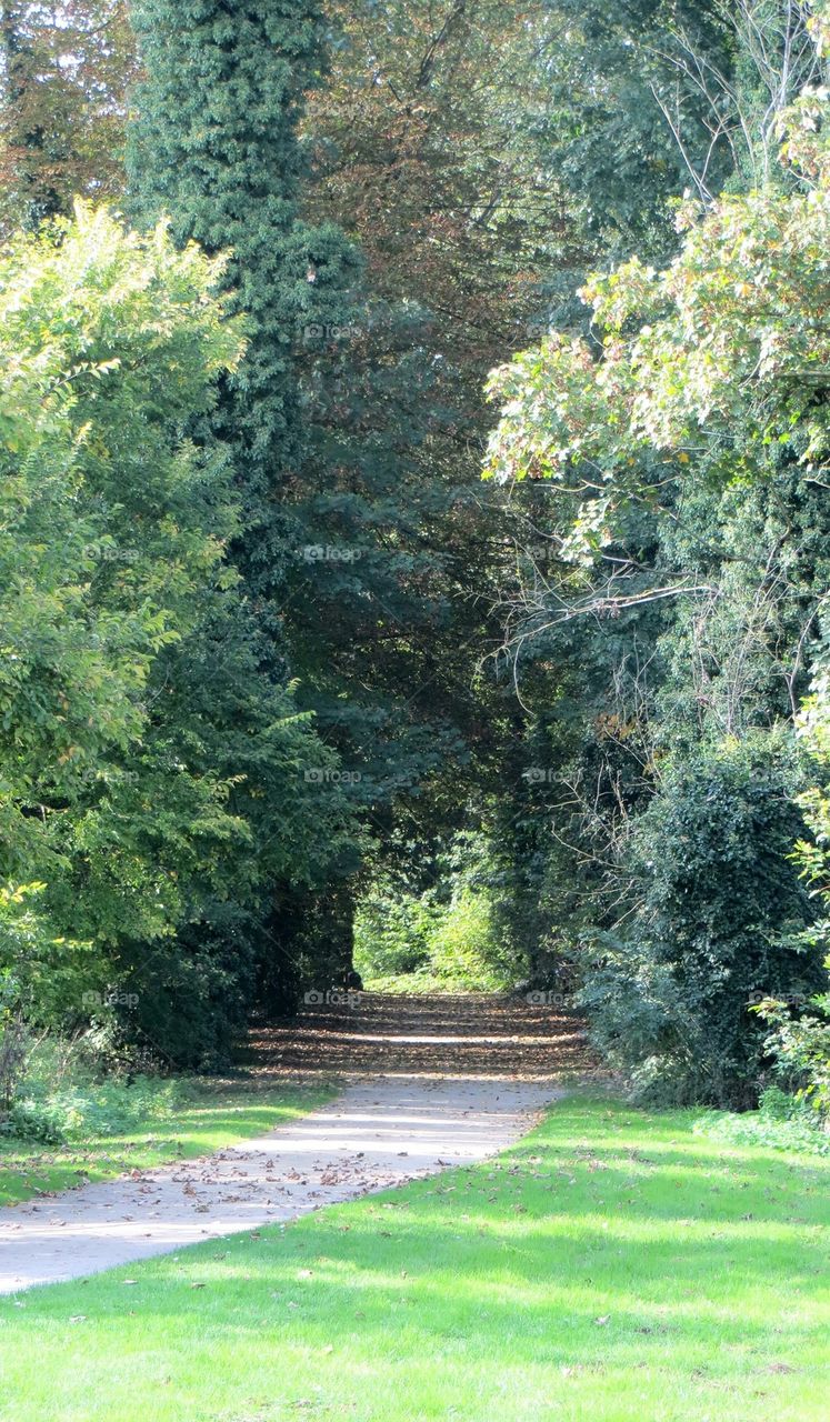 green arch