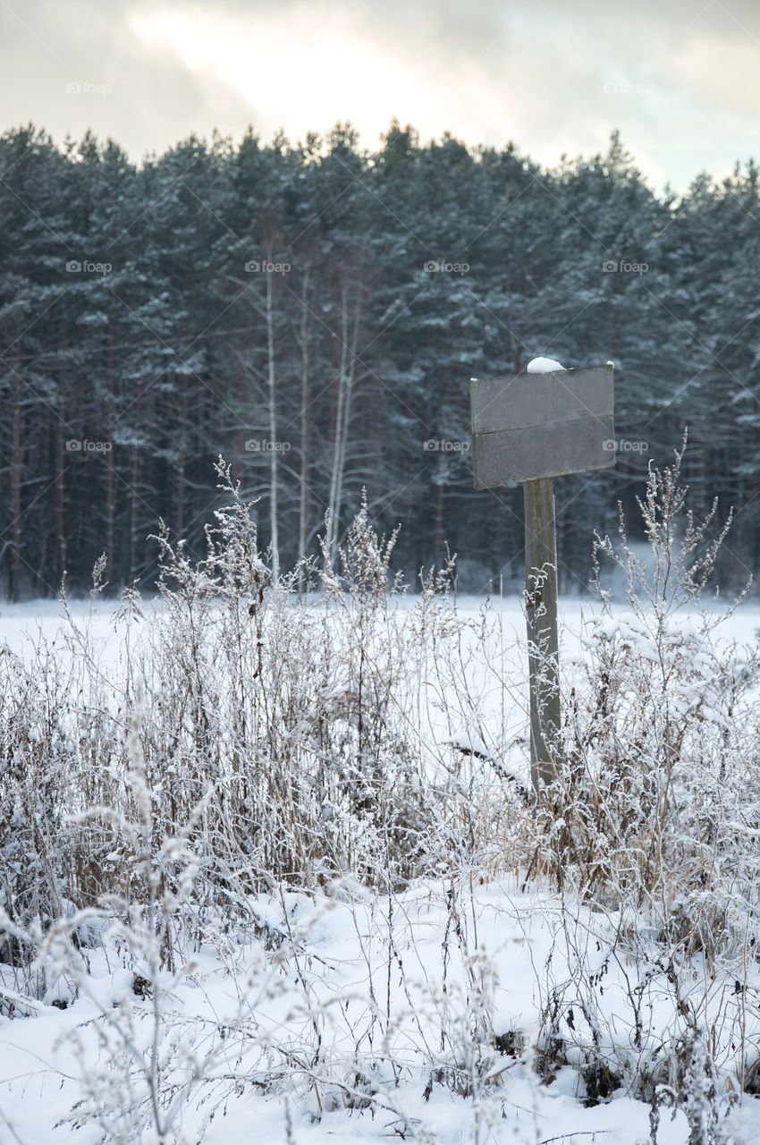 For sale sign in a snow covered field and distant forest in the background