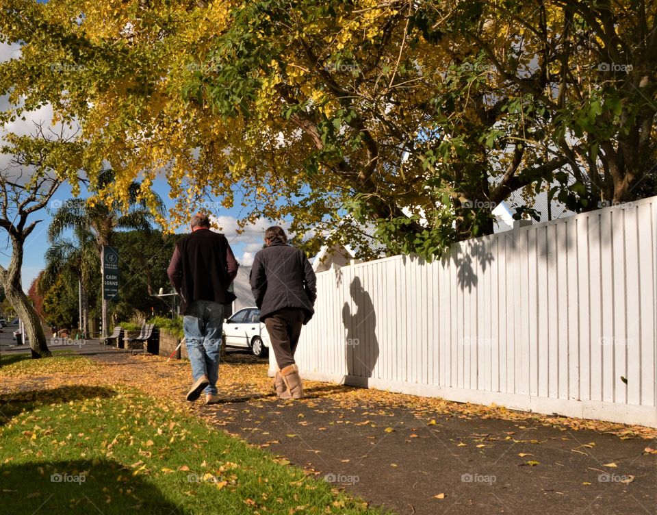 Morning walk with a friend on fallen leaves