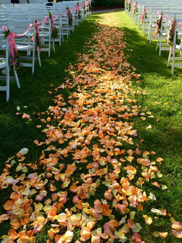 Rose petal strew aisle 