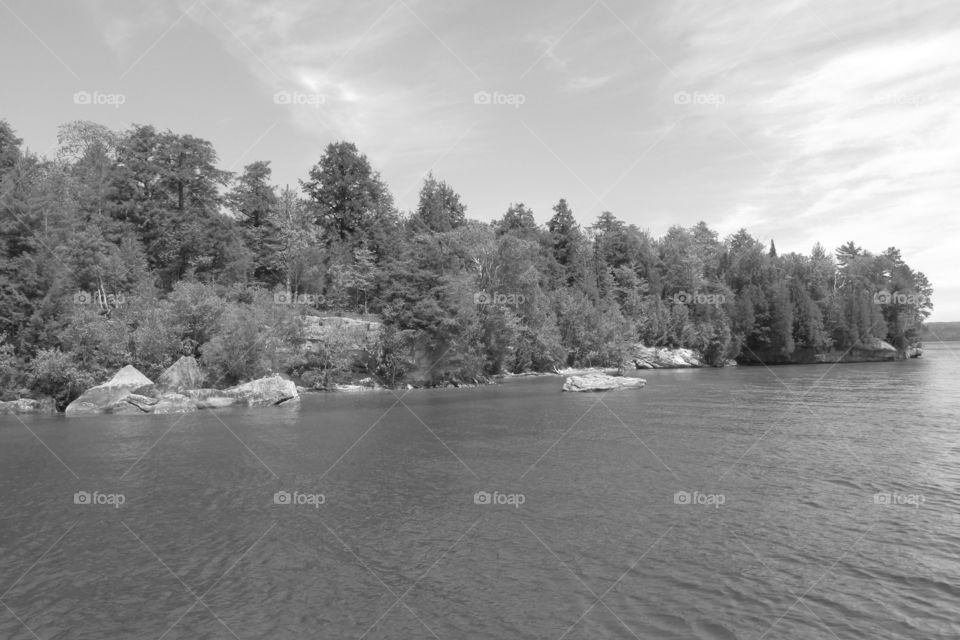 Tree, Water, River, Lake, Landscape