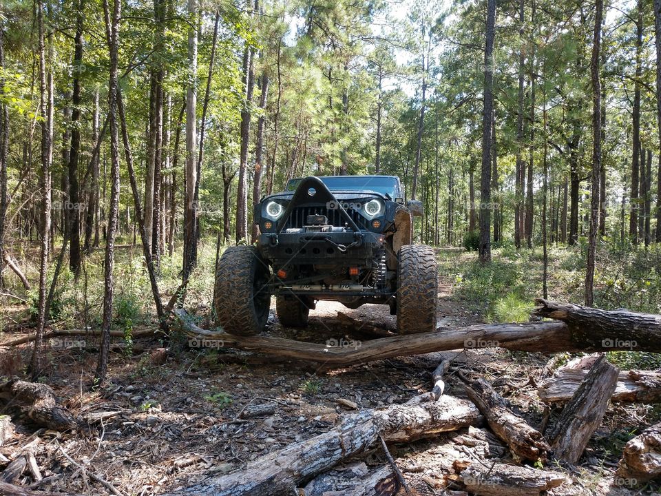 jeep woods