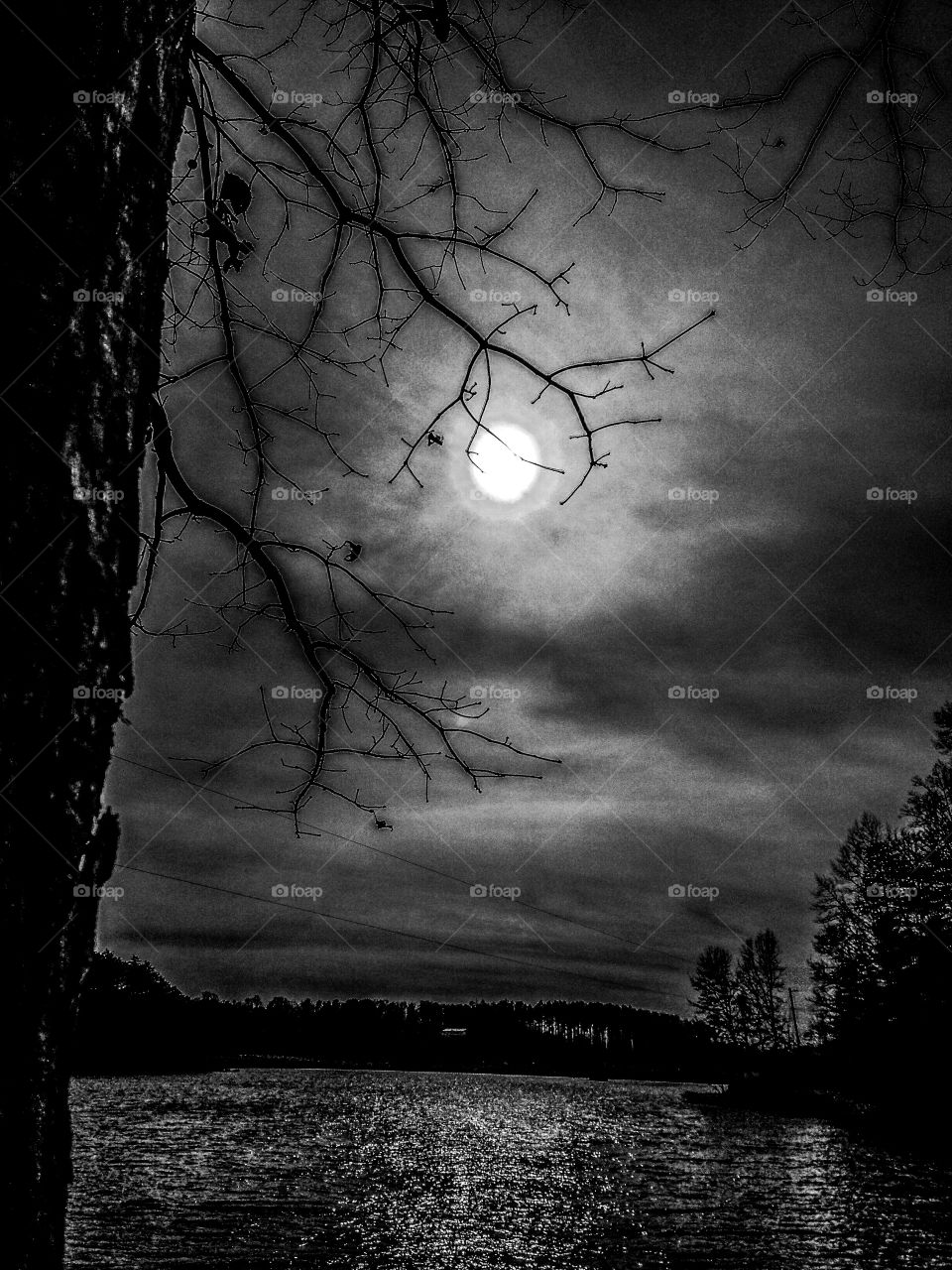 Lake by night
