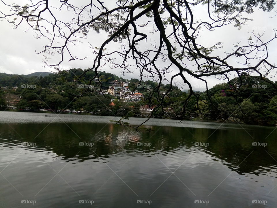 Lake in Srilanka