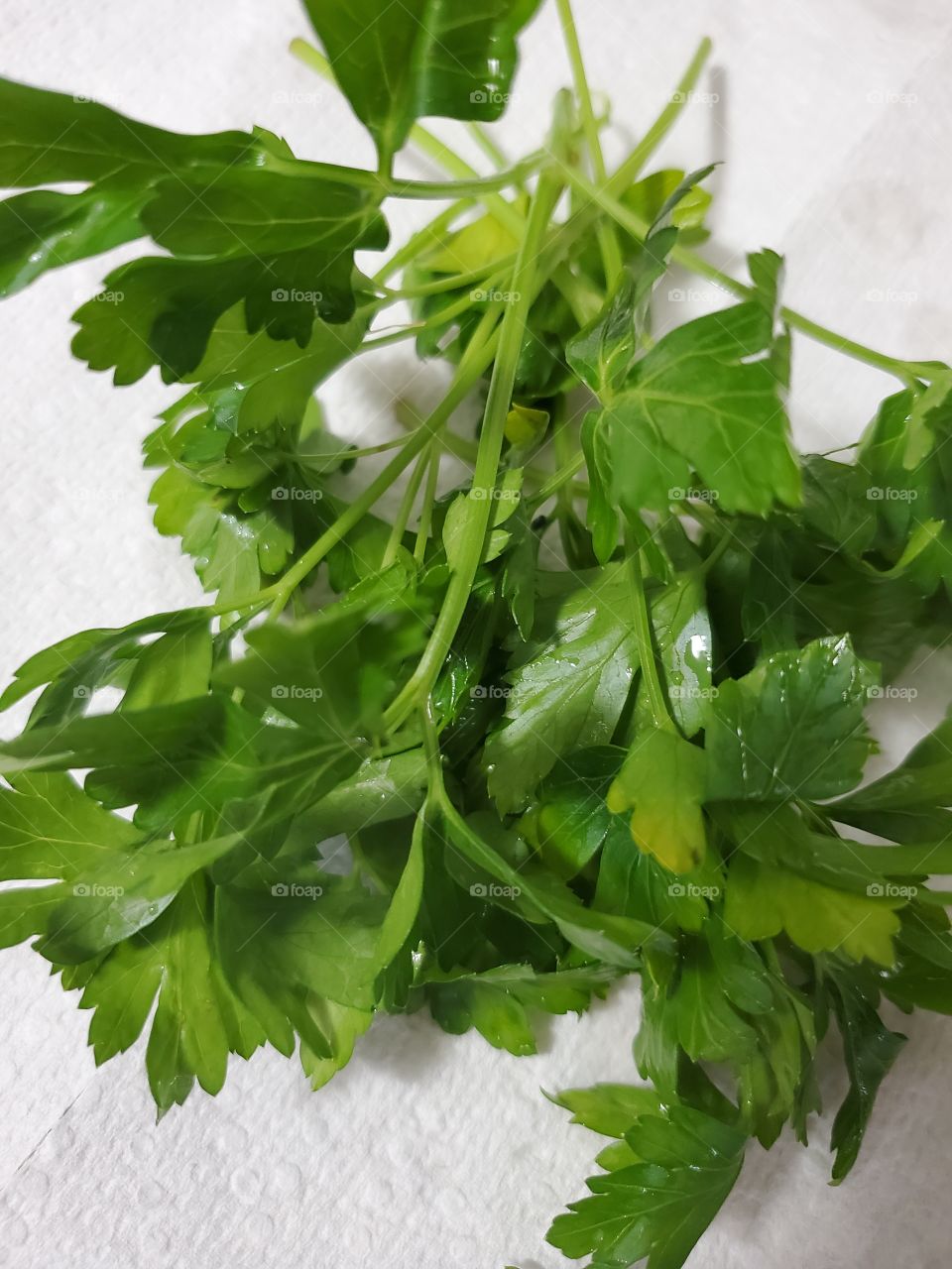 parsley