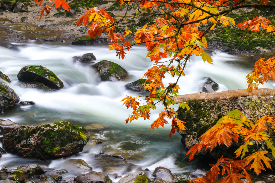 River flowing through rocks during autumn