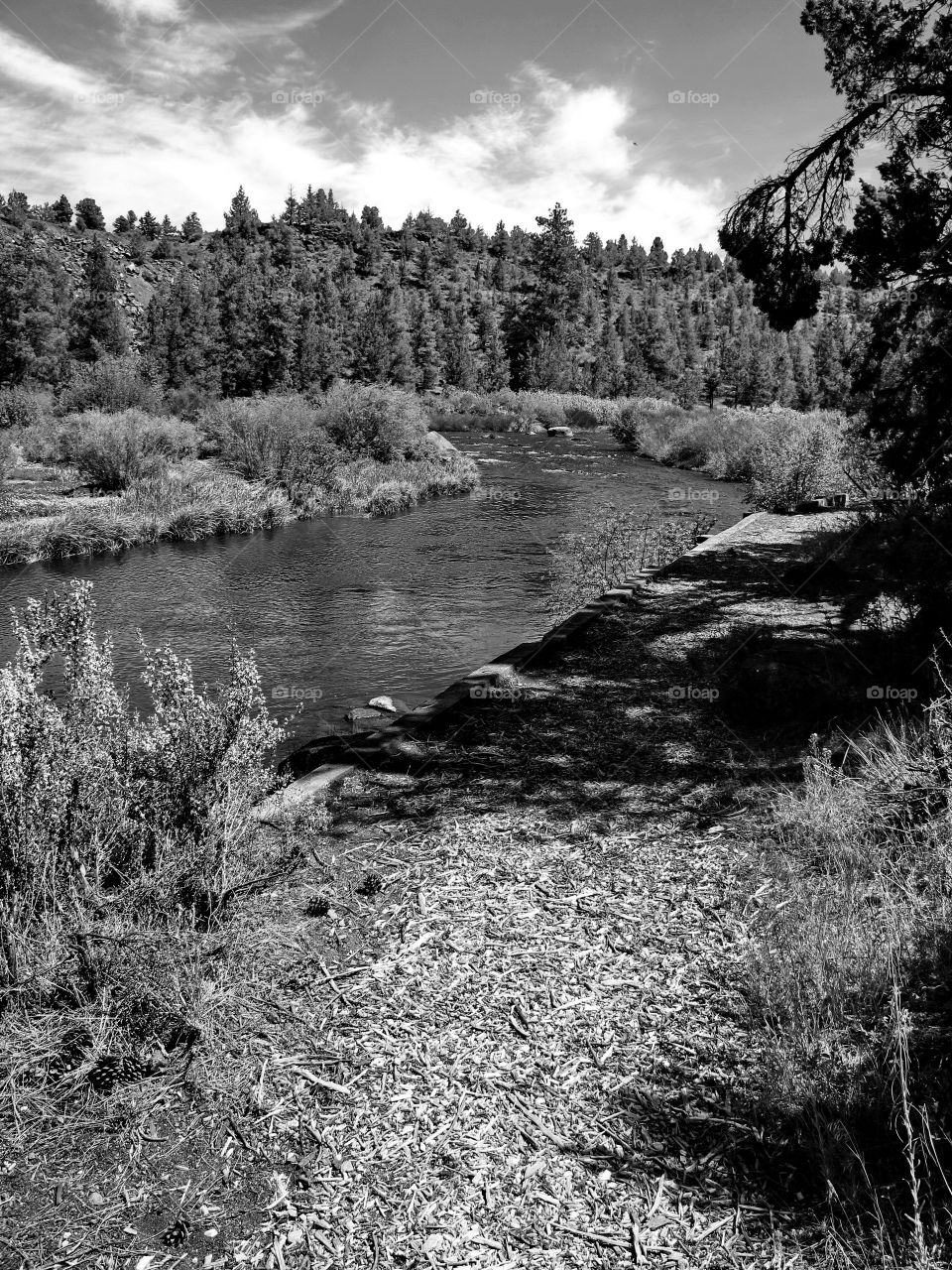 The Deschutes River flows through a canyon towards Tumalo State Park in Central Oregon in a beautiful summer day. 