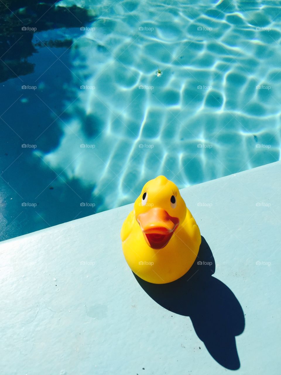 Rubber duckie goes into the swimming pool. Rubber duck loves the swimming pool on a hot summer day
