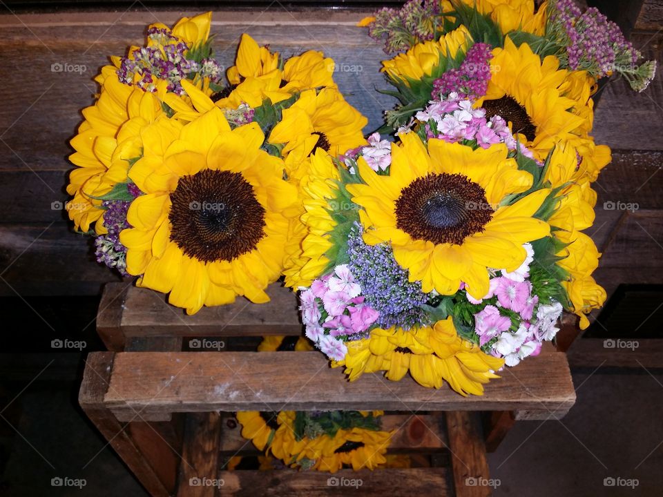 Sunflower sunshine. Love Sunflowers and enjoying the summer with the beautiful sun flower's! 