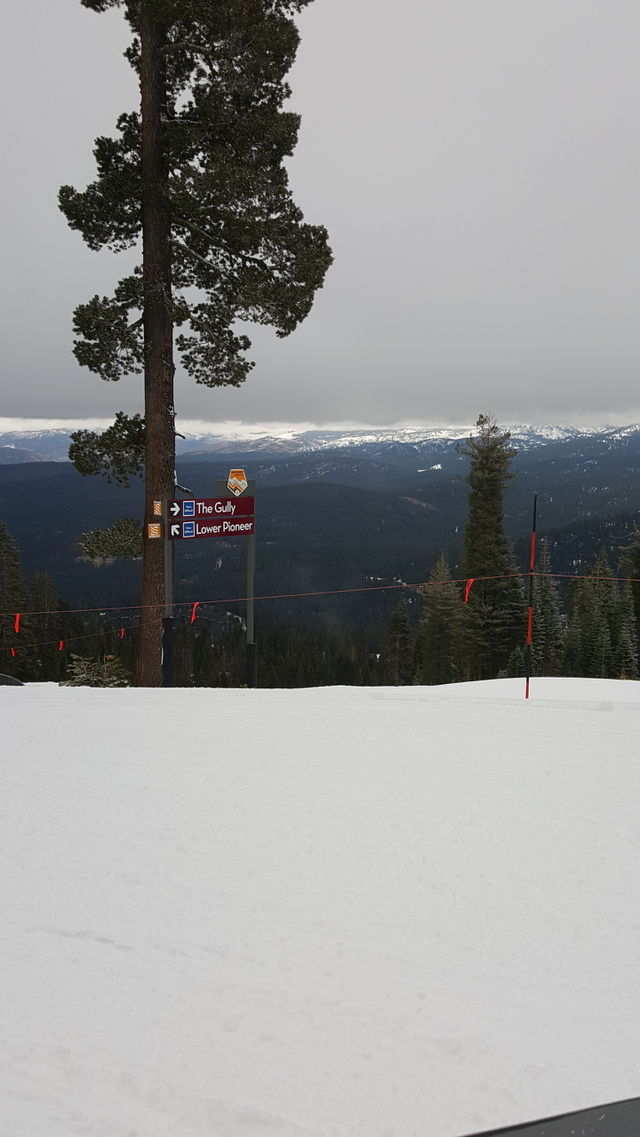 Skiing