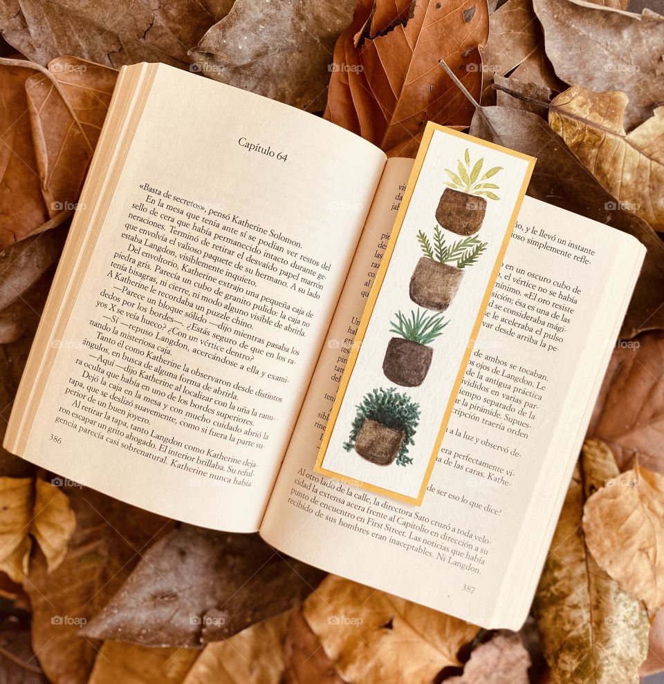 My autumn story time 