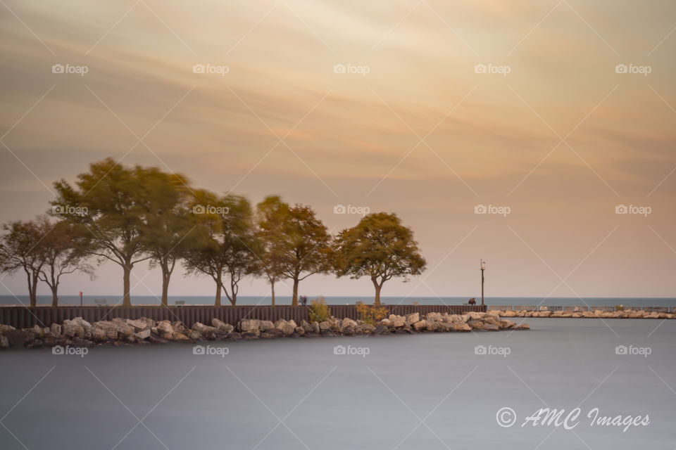 Long exposure of trees on Lake Michigan in Milwaukee 