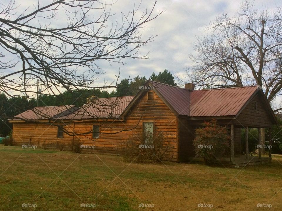 Cabin life