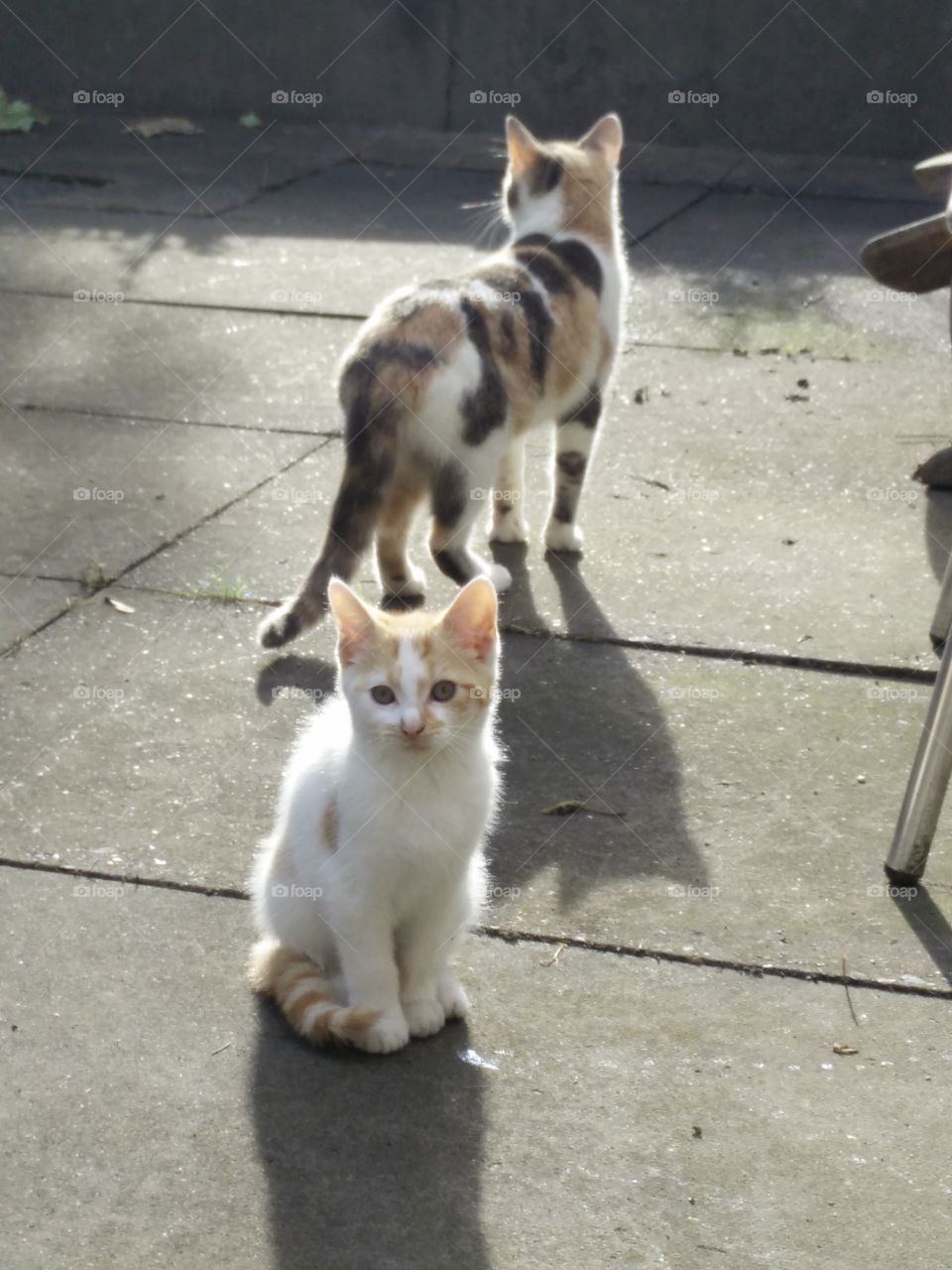 little Timmy with his mum