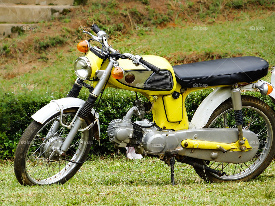 Honda 67