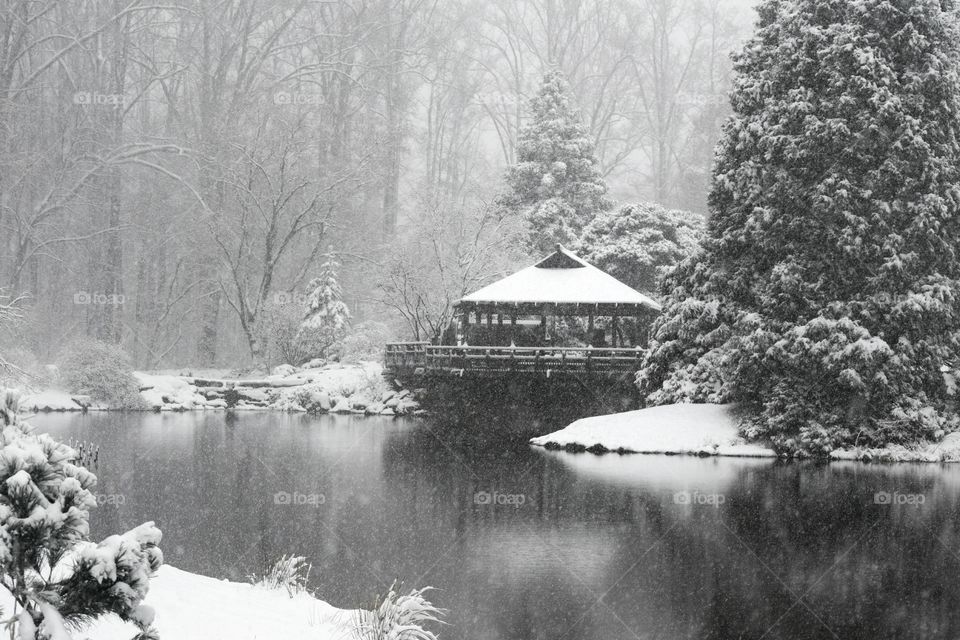 Pagoda in Snow