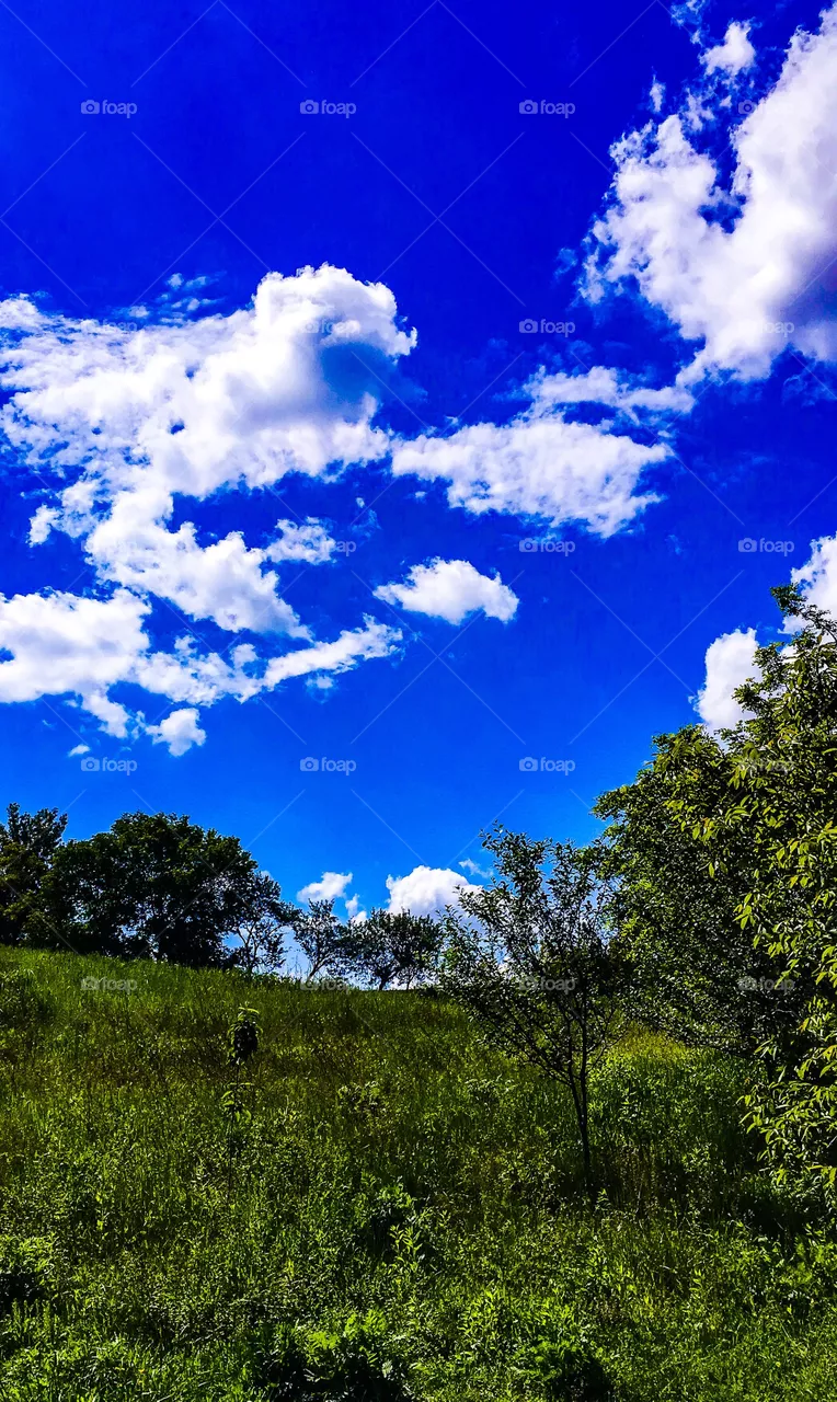 sky