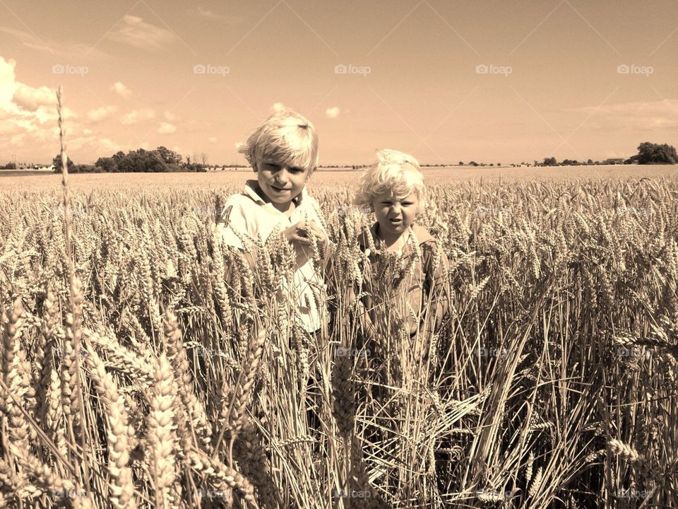 Boys in the field