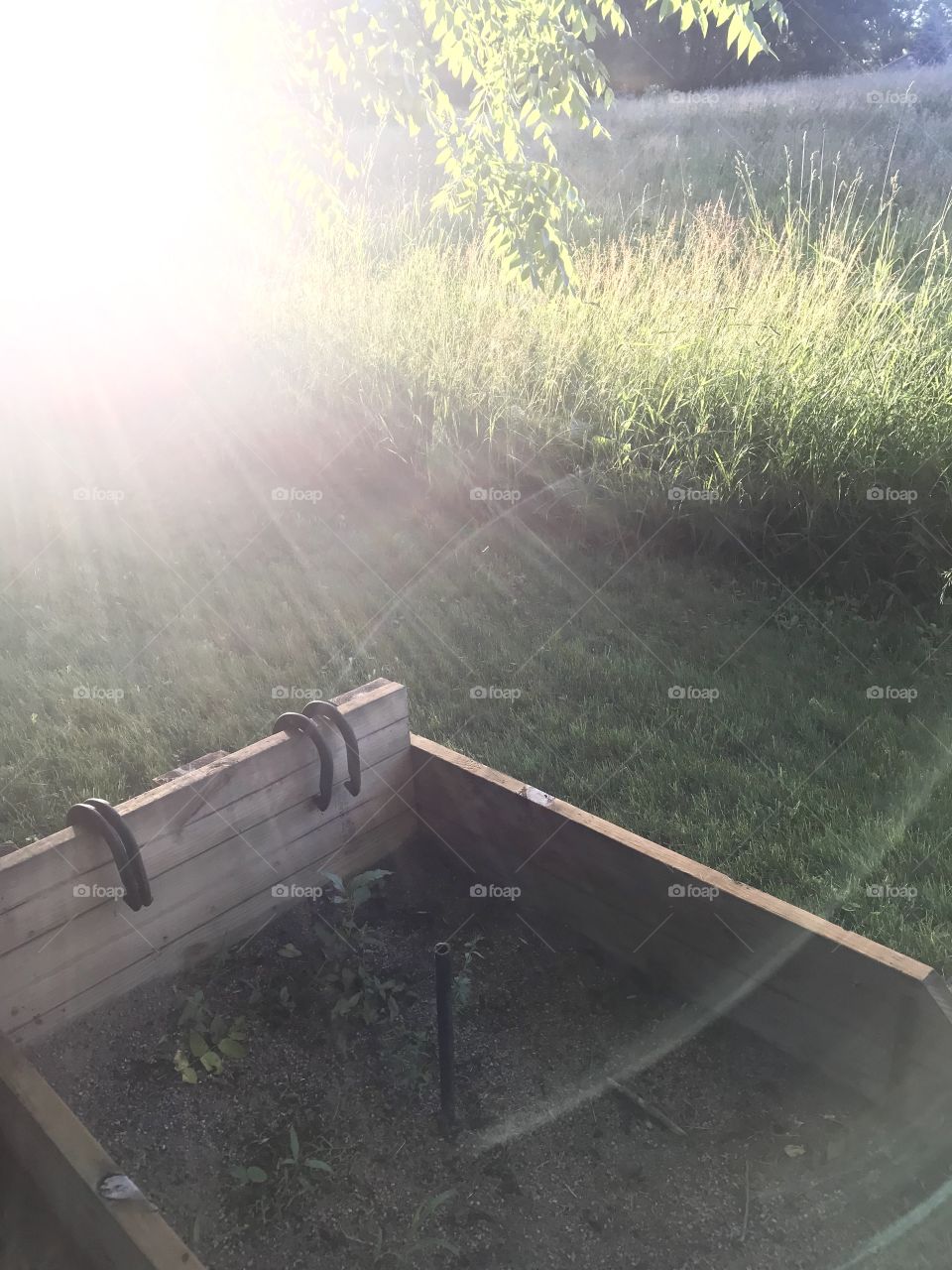 Gorgeous sunset with sun shining through tree branches, beautiful grassy field and fun horse shoe pit. 