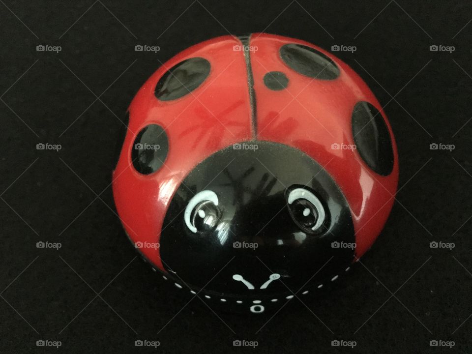 Cute ladybug 