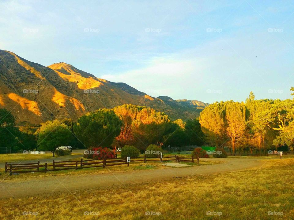 View of a grassy land during autumn